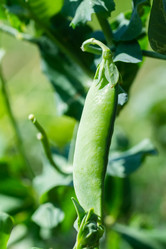 Similar image 22067276