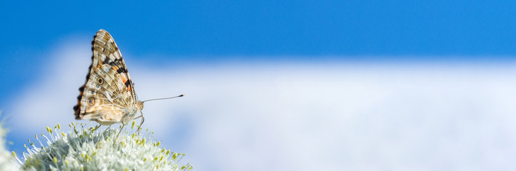 Similar image 22067286