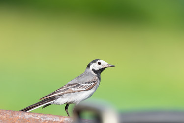 Similar image 22067296