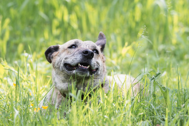 Similar image 22067299