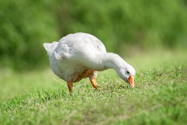 Similar image 22067311