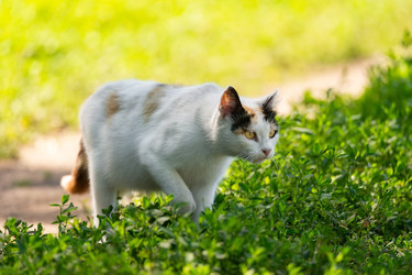 Similar image 22067314