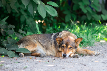 Similar image 22067318