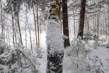 Similar image 22059339