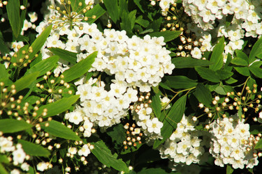 Similar image 22059341