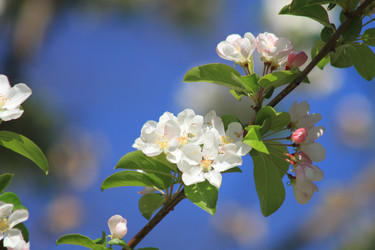 Similar image 22059342