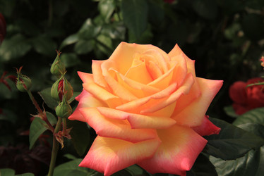 Similar image 22059343