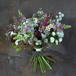 Similar image 22060217