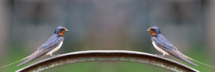 Similar image 22067841