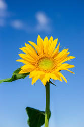 Similar image 22067842