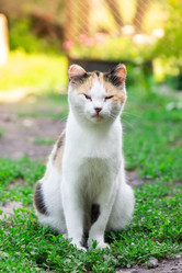 Similar image 22067843