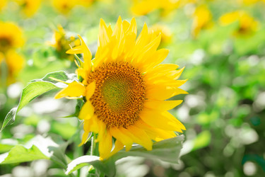 Similar image 22067848