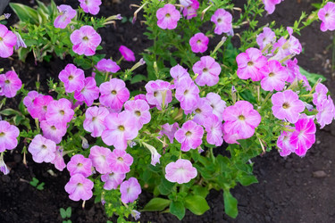 Similar image 22067854