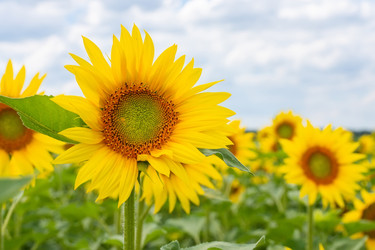 Similar image 22067860