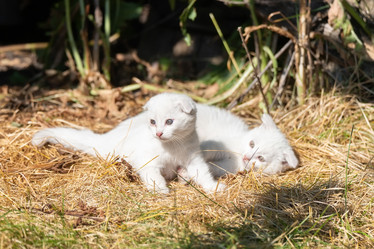 Similar image 22067861