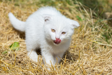 Similar image 22067864