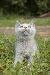 Similar image 22068020