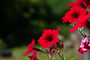 Similar image 22068022