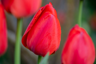 Similar image 22062047