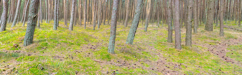 Similar image 22062048