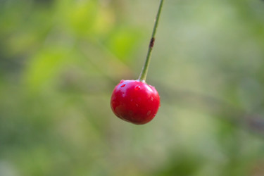 Similar image 22062050