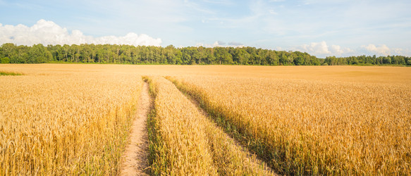 Similar image 22062051