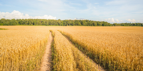 Similar image 22062052