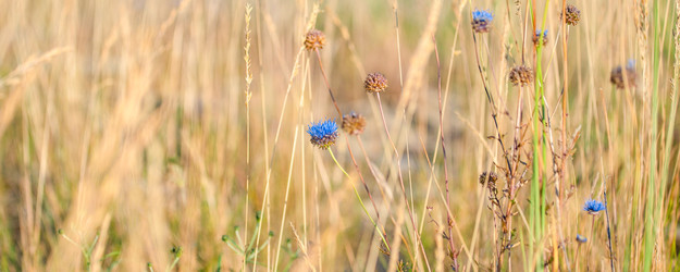 Similar image 22062053