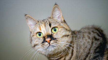 Similar image 22062058