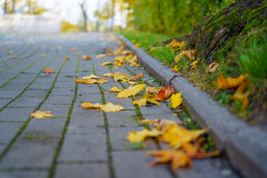 Similar image 22062059