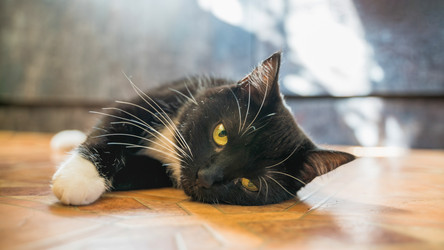 Similar image 22062060