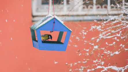 Similar image 22062075