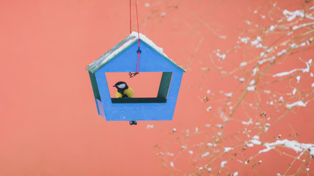 Similar image 22062076