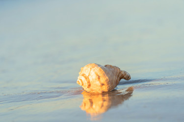 Similar image 22062077