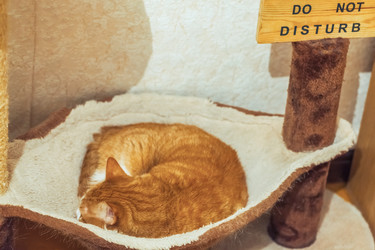 Similar image 22062078