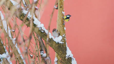 Similar image 22062079