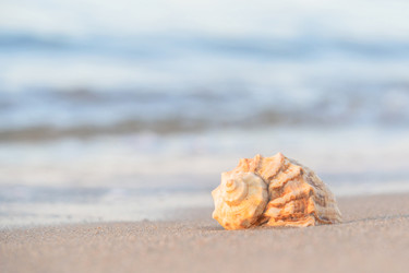 Similar image 22062080