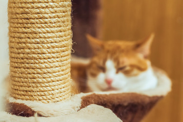 Similar image 22062081