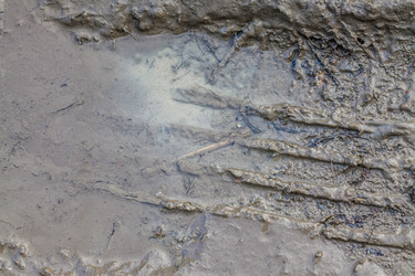 Similar image 22062089