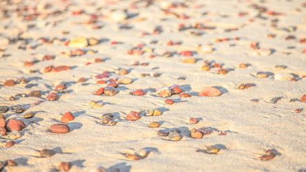 Similar image 22062090