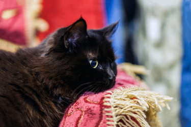 Similar image 22062103