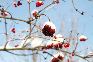 Similar image 22061788