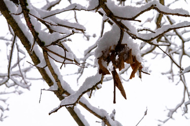 Similar image 22061789