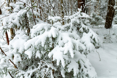 Similar image 22061790