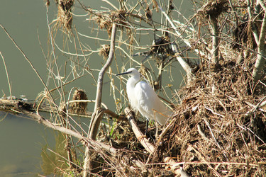 Similar image 22061791