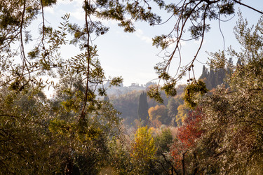 Similar image 22061792