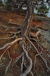 Similar image 22068576