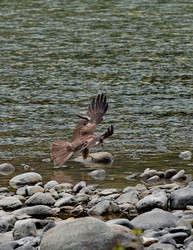 Similar image 22068579