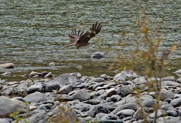 Similar image 22068582