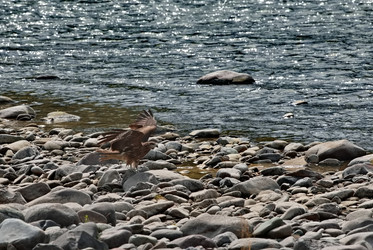 Similar image 22068583